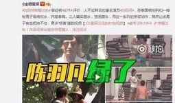 林柏睿台湾爆料了吗视频,揭秘背后真相